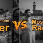 Mosquito Racket vs Electric Insect Killer